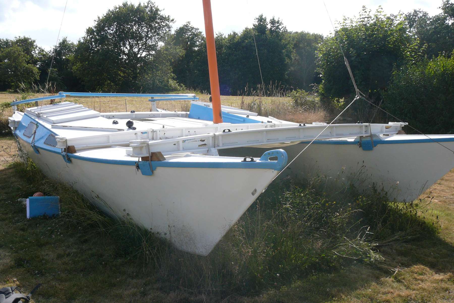 Tiki 21